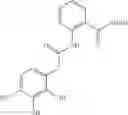 Fig. 262 - Compositions and methods for treating cancer