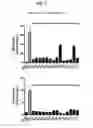 Fig. 03 - Quinoline compounds as modulators of RAGE activity and uses thereof