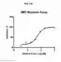 Fig. 06 - Quinoline compounds as modulators of RAGE activity and uses thereof