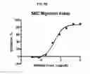Fig. 07 - Quinoline compounds as modulators of RAGE activity and uses thereof