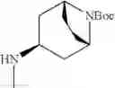 Fig. 233 - Substituted pyridines as inhibitors of DNMT1