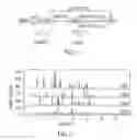 Fig. 02 - Polymorphs and solid forms of a pyrimidinylamino-pyrazole compound, and methods of production