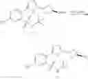 Fig. 216 - RAD51 inhibitors