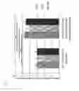 Fig. 02 - Bone protein extraction without demineralization