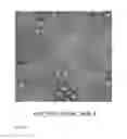 Fig. 07 - Engineered outer domain (EOD) of HIV GP120 and mutants thereof