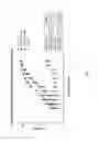 Fig. 03 - Heterodimers of soluble interferon receptors and uses thereof