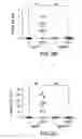Fig. 06 - Methods of treating fibroblast growth factor 19-mediated cancers and tumors