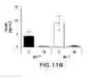 Fig. 28 - Methods of treating fibroblast growth factor 19-mediated cancers and tumors