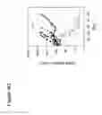 Fig. 09 - COMBINATION THERAPY COMPRISING OX40 BINDING AGONISTS AND TIGIT INHIBITORS