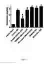 Fig. 04 - Antibody to Renalase