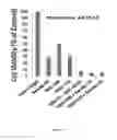 Fig. 22 - Antibody to Renalase