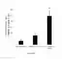 Fig. 46 - Antibody to Renalase