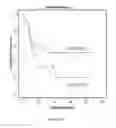 Fig. 48 - Antibody to Renalase