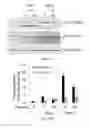 Fig. 59 - Antibody to Renalase