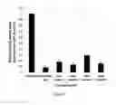 Fig. 65 - Antibody to Renalase