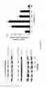 Fig. 68 - Antibody to Renalase