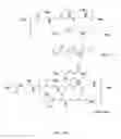 Fig. 02 - PLGA-modified polyethylenimine self-assembly nanotechnology for nucleic acid and drug delivery
