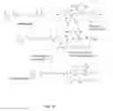 Fig. 04 - PLGA-modified polyethylenimine self-assembly nanotechnology for nucleic acid and drug delivery