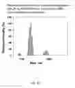 Fig. 06 - PLGA-modified polyethylenimine self-assembly nanotechnology for nucleic acid and drug delivery