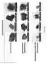 Fig. 22 - PLGA-modified polyethylenimine self-assembly nanotechnology for nucleic acid and drug delivery