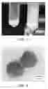 Fig. 02 - Composition with polymer and ceramic and methods of use thereof