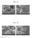 Fig. 02 - SUPPORT FOR CULTURING CELLS, METHOD OF PREPARING SUPPORT, AND METHOD OF CULTURING CELLS