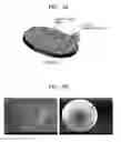 Fig. 03 - SUPPORT FOR CULTURING CELLS, METHOD OF PREPARING SUPPORT, AND METHOD OF CULTURING CELLS