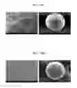 Fig. 04 - SUPPORT FOR CULTURING CELLS, METHOD OF PREPARING SUPPORT, AND METHOD OF CULTURING CELLS