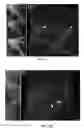 Fig. 07 - IN VITRO 3D CULTURE OF HUMAN BRAIN TISSUE
