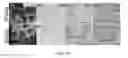 Fig. 10 - IN VITRO 3D CULTURE OF HUMAN BRAIN TISSUE