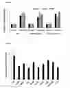 Fig. 02 - Generation of cancer stem cells and use thereof