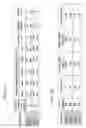 Fig. 04 - RNA modulating oligonucleotides with improved characteristics for the treatment of Duchenne and Becker muscular dystrophy