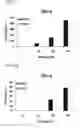 Fig. 05 - RNA modulating oligonucleotides with improved characteristics for the treatment of Duchenne and Becker muscular dystrophy
