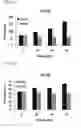 Fig. 07 - RNA modulating oligonucleotides with improved characteristics for the treatment of Duchenne and Becker muscular dystrophy