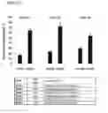 Fig. 11 - RNA modulating oligonucleotides with improved characteristics for the treatment of Duchenne and Becker muscular dystrophy