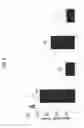 Fig. 09 - GEMINIVIRAL VECTOR FOR EXPRESSION OF RITUXIMAB
