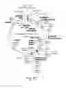 Fig. 09 - CNS TARGETING AAV VECTORS AND METHODS OF USE THEREOF