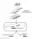 Fig. 01 - CRISPR enabled multiplexed genome engineering