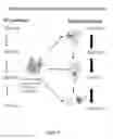 Fig. 07 - CRISPR enabled multiplexed genome engineering