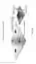 Fig. 24 - Enrichment and detection of nucleic acids with ultra-high sensitivity