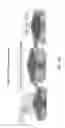 Fig. 26 - Enrichment and detection of nucleic acids with ultra-high sensitivity