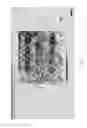 Fig. 08 - Sanitary tissue products