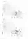 Fig. 07 - Front loader