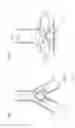 Fig. 06 - Intake apparatus for internal combustion engine