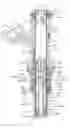 Fig. 01 - FUEL INJECTION VALVE