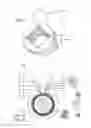 Fig. 07 - Regenerative turbine pumps