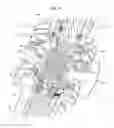 Fig. 04 - Spring spacer coupling