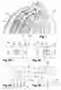 Fig. 02 - Interface member for reconditioning a control ring of an engine compressor, and associated reconditioning method
