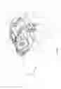Fig. 02 - ROTATIONAL FIXING FOR A GUIDE PIN OF A DISC BRAKE AND METHOD THEREOF