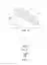 Fig. 08 - FORCE DAMPER